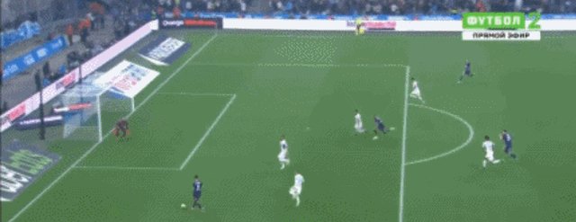 1635115529018081288.gif 2.gif